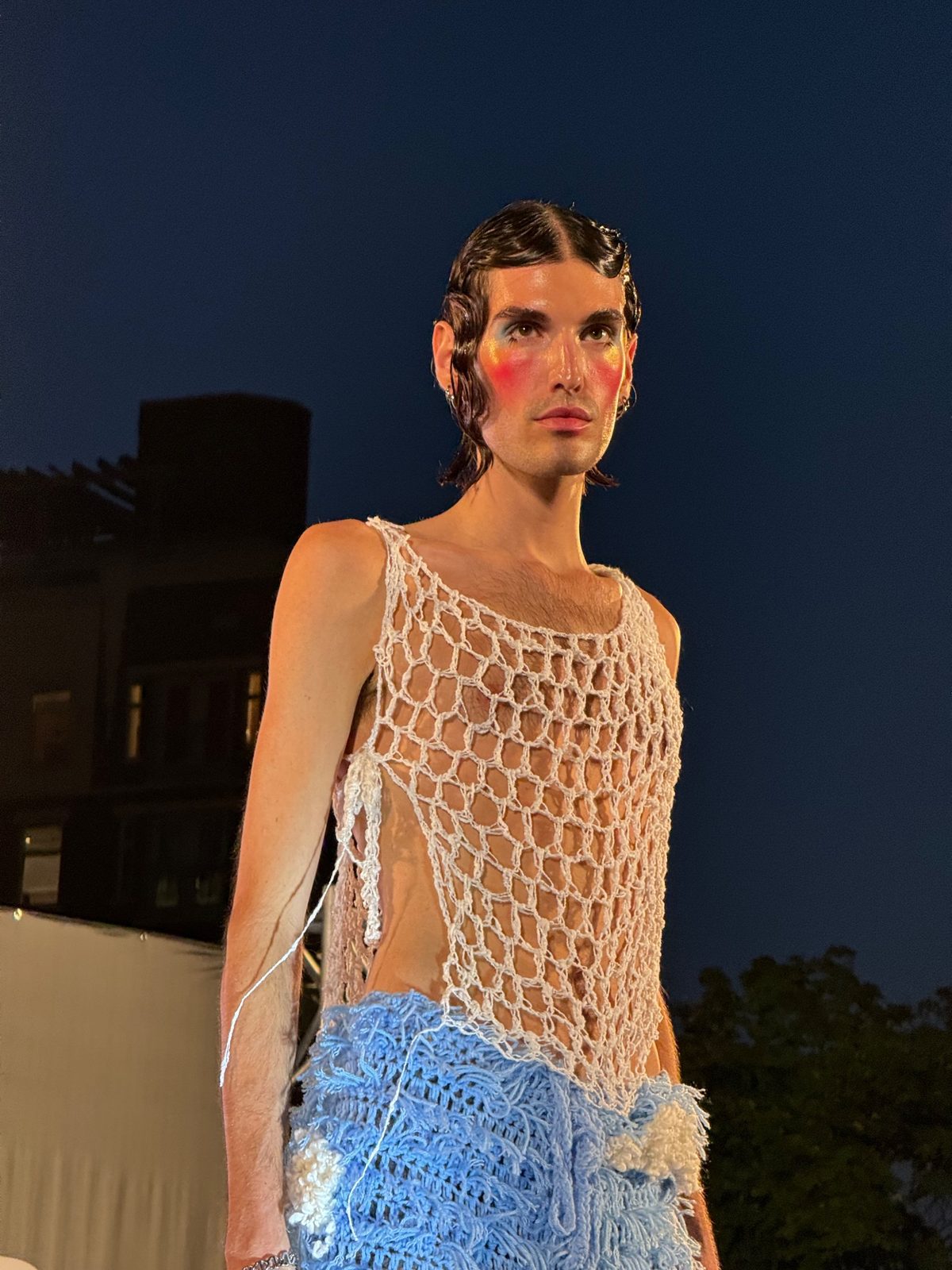 The Dollhouse project image
